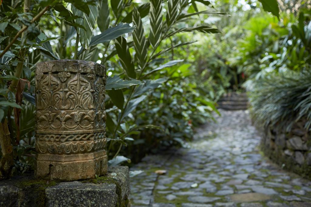 Bamboo Villa Kandy Digana Exteriér fotografie